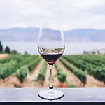 The Cliff Resort Obzor